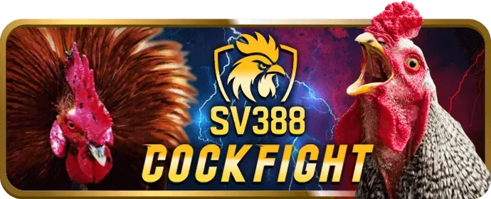 Đá gà tại 88jun nhà cái